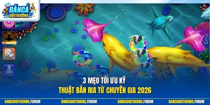 3 mẹo tối ưu kỹ thuật bắn ria từ chuyên gia 2026