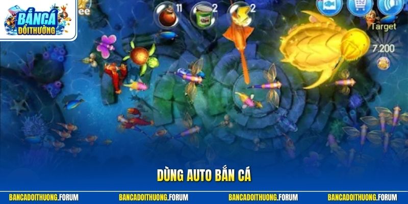 Dùng Auto Bắn Cá | Bật Mí Kinh Nghiệm Hiệu Quả Từ Chuyên Gia