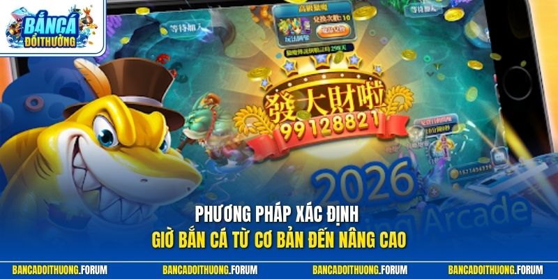 Phương pháp xác định giờ bắn cá từ cơ bản đến nâng cao